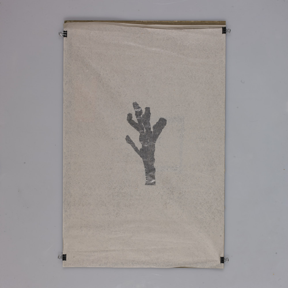 2016 FCF03D2B-C219-47B2-A98F-60229C54B585