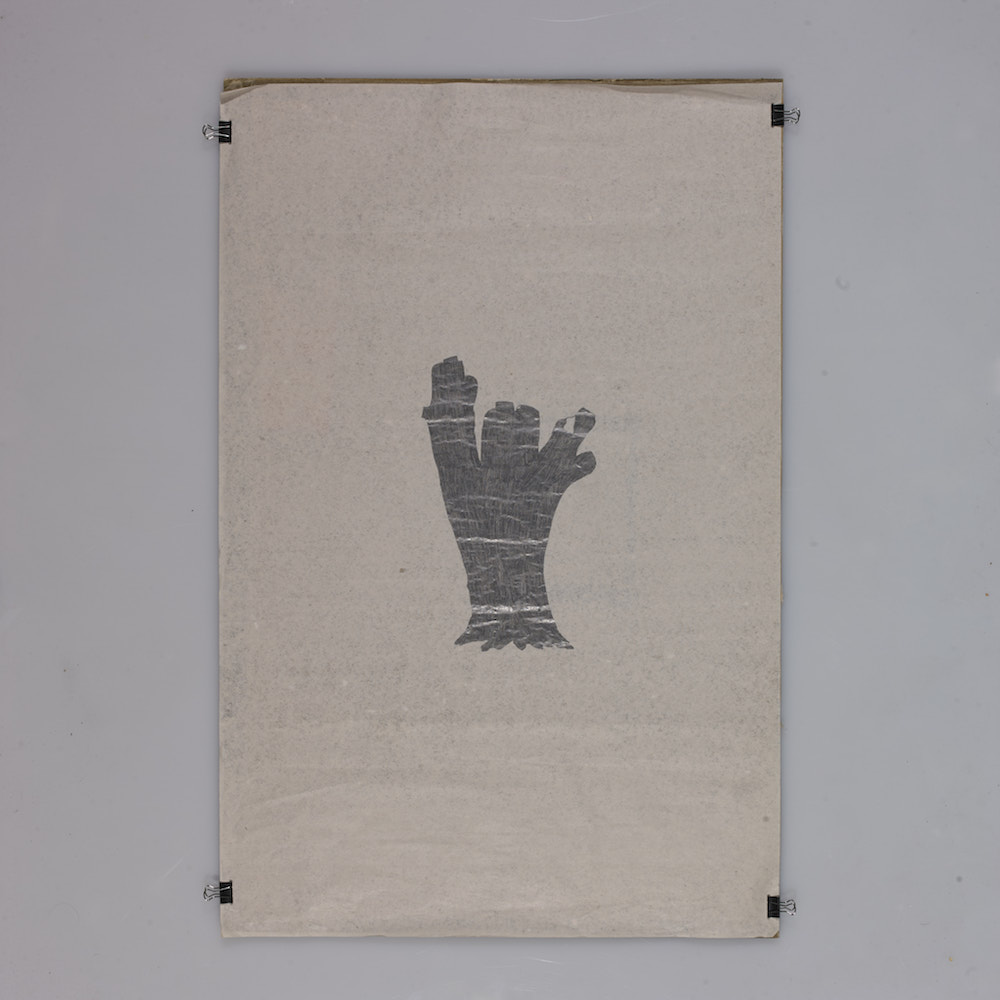 2016 IMG_20160306_151209