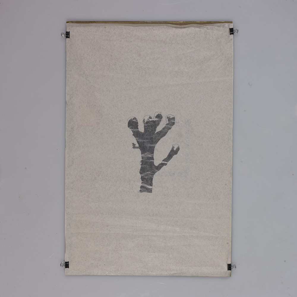 2016 IMG_20160508_WA0007 1